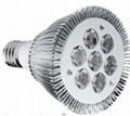 LED par light