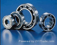 Deep Groove Ball Bearing 3