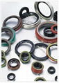 Oil Seals & O Seals 1