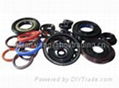 Oil Seals & O Seals 2