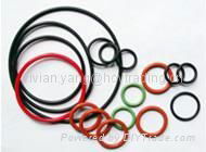 Oil Seals & O Seals 4