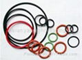 Oil Seals & O Seals 4