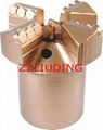 PDC drill bit for water well and