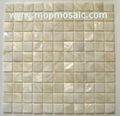 Natural pure white mother of pearl mosaic,shell mosaic 1