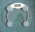 health scale 1