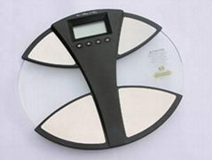 fat water scale