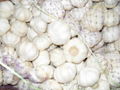 Garlic 10kg/CTN 2