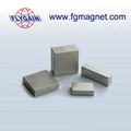 Sintered Strong Neodymium Rare earth Magnets  3