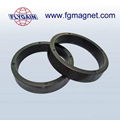 Customized Bonded NdFeB Magnets  3