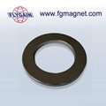Powerful packing NdFeB rare earth magnets  4