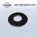 Disk speaker strong neodymium permanent magnets 