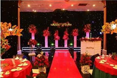 Led wedding decoration