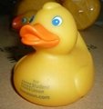 promotional rubber duck 5