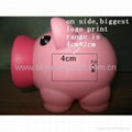 piggy bank 3