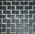 stainless steel square wire mesh 2