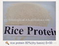 Non-GMO-NATIVE-RICE-PROTEIN-POEDER 1