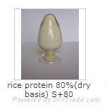 Non-GMO-NATIVE-RICE-PROTEIN-POEDER 2