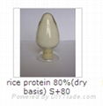 Non-GMO-NATIVE-RICE-PROTEIN-POEDER 2