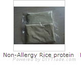 Non-GMO-NATIVE-RICE-PROTEIN-POEDER 3