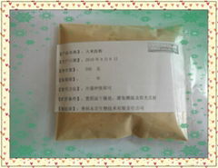 rice protein peptide 