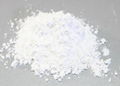 rice starch powder 2