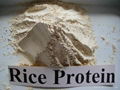 Non-GMO native rice protein 2