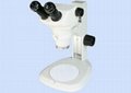 体视显微镜TS-10N  1