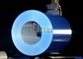 High Quality Color coated Steel Coil /sheet 2