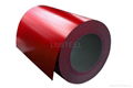 High Quality Color coated Steel Coil /sheet 3