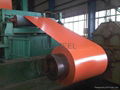High Quality Color coated Steel Coil /sheet 5