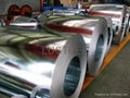 Hot dip Galvanized Steel Coil or Sheet  1