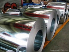 Hot dip Galvanized Steel Coil or Sheet 