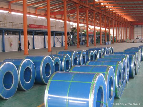 Hot dip Galvanized Steel Coil or Sheet  2