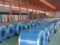 Hot dip Galvanized Steel Coil or Sheet  2