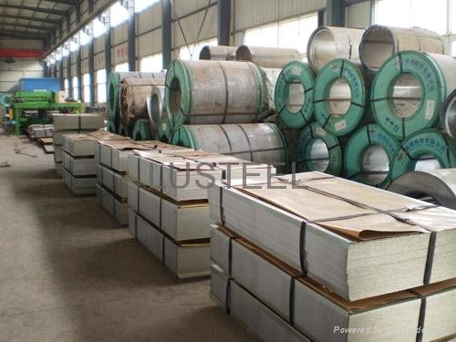 Hot dip Galvanized Steel Coil or Sheet  3