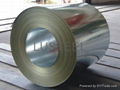 Hot dip Galvanized Steel Coil or Sheet  4