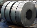 Hot dip Galvanized Steel Coil or Sheet  5