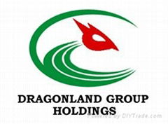 Dragonland Group Holdings Limited