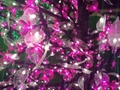 LED tree for Christmas 2