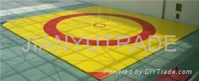 Wrestling Mat 2