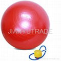 Exercise Ball 1