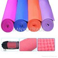 PVC Yoga Mat 2