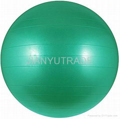 Gym Ball