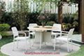 China Rattan Dininig Set Outdoor Furniture (BZ-D029) 2