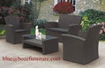 Patio Furniture Rattan Sofa Set (BZ-SF005) 3