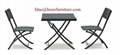 China Outdoor Furniture Wicker Dininig Set (BZ-D048 1