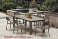 Outdoor Furniture Plastic Wood Dining Set (BZ-P019) 4