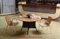 Garden Furniture Poly Wood Dining Set (BZ-P030) 2