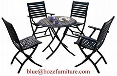 Garden Furniture Poly Wood Dining Set (BZ-P030)