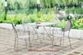 Patio Furniture Iron Dining Set Table & Chair (BZ-DS018) 2